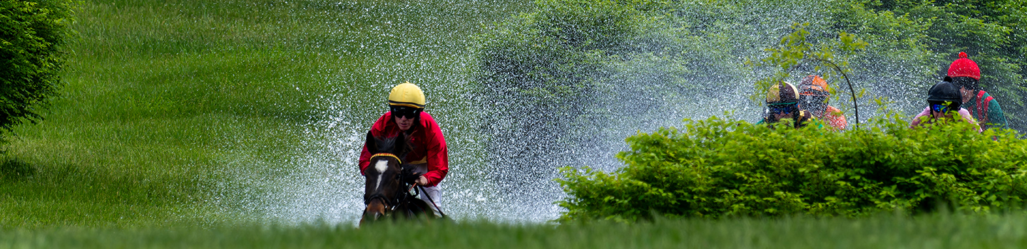 Horses Water Spray